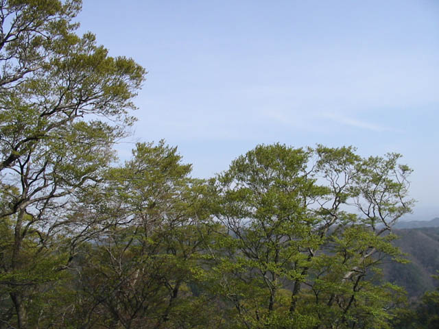 e0052074_914322.jpg