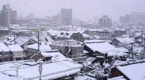a0012575_213218.jpg