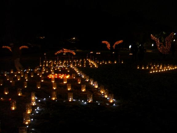 e0069481_2232407.jpg