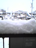 f0001781_9534534.jpg