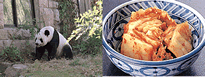 a0027492_12374696.gif
