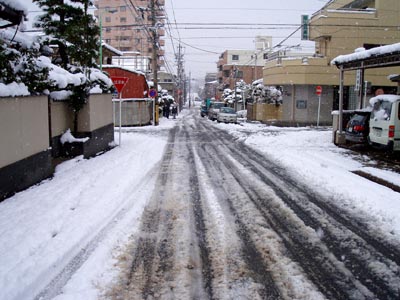 a0043395_1652870.jpg