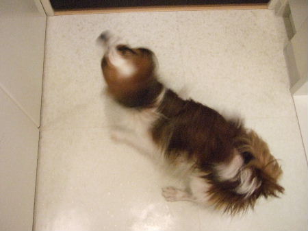 c0044199_023145.jpg