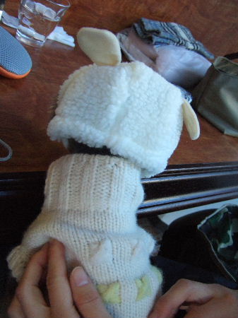 c0044199_2153313.jpg