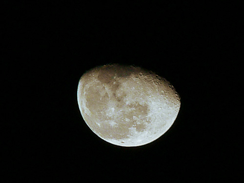 d0035104_23485137.jpg