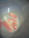 e0092614_10255330.jpg