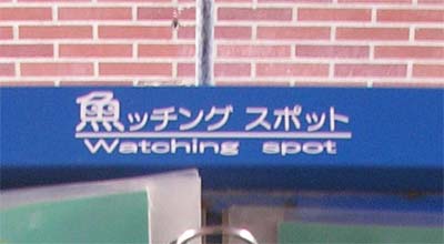 c0059521_20574022.jpg