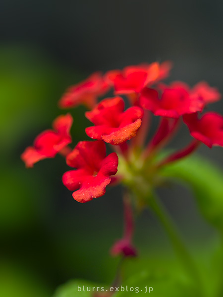 d0024721_14423497.jpg