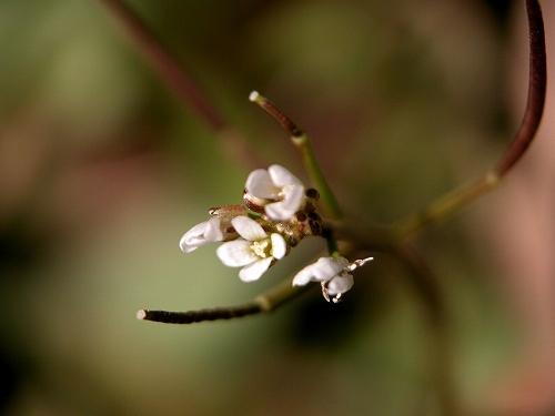 c0027027_644206.jpg