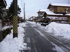 d0066133_1153588.jpg