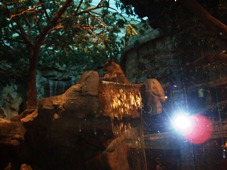 e0087035_15104035.jpg