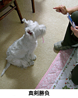 e0077142_0283979.jpg