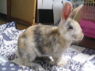 d0022345_1244816.jpg