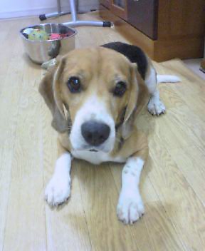 e0007060_2242324.jpg