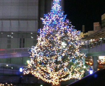 d0015364_1324498.jpg