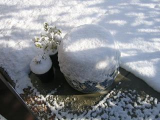 e0031568_9334544.jpg