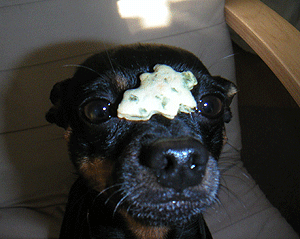 c0012571_1714332.gif
