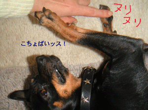 c0012571_1715471.gif
