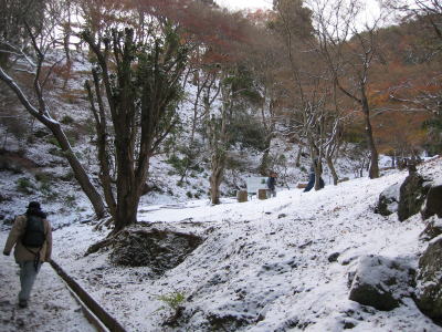 f0004182_0225381.jpg