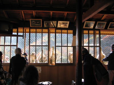 f0004182_0371553.jpg
