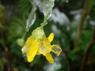 b0061107_165523.jpg