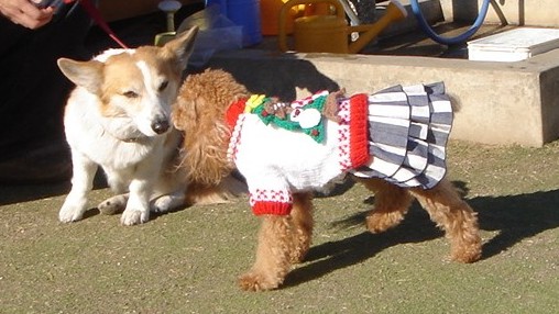 c0041207_13155436.jpg