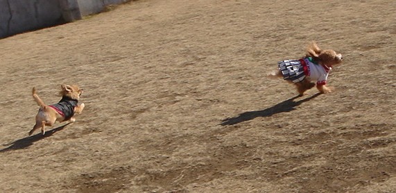 c0041207_1384627.jpg