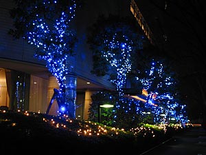 a0041508_195486.jpg