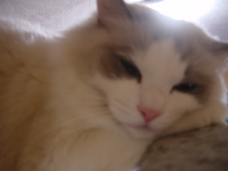 c0024410_21472740.jpg