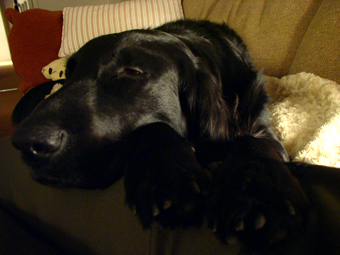 c0012120_23592513.jpg