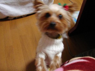 f0002833_2020385.jpg