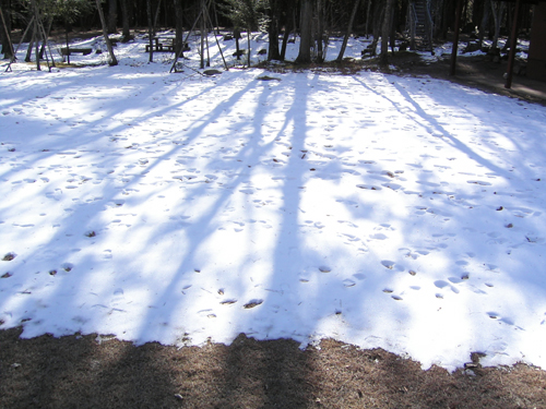 a0013134_3145162.jpg
