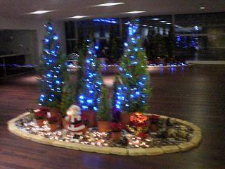 c0054838_0171790.jpg