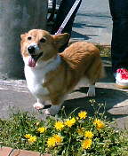 e0051047_2049367.jpg
