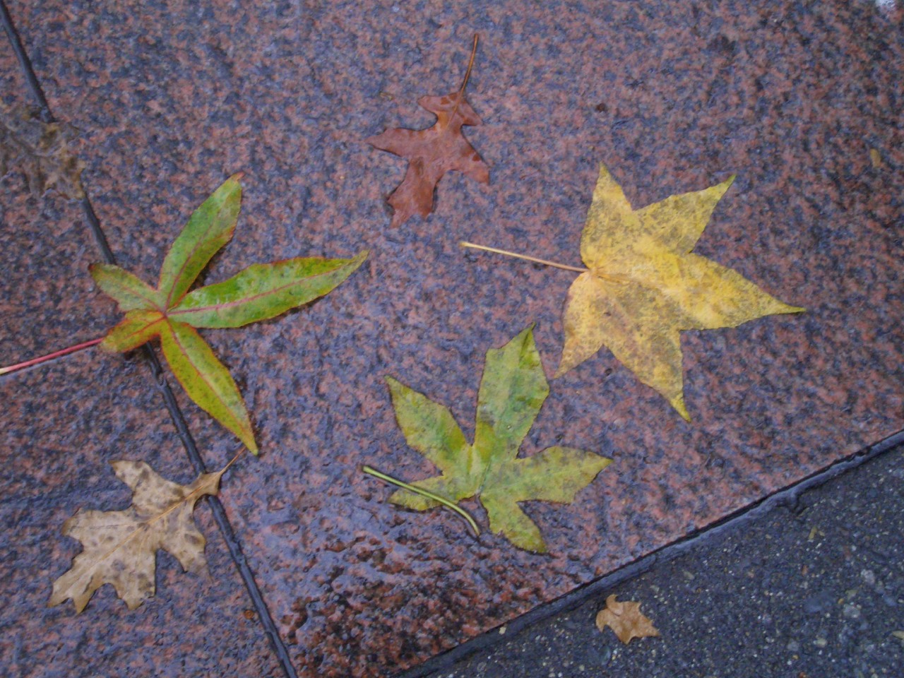 f0009451_21531911.jpg