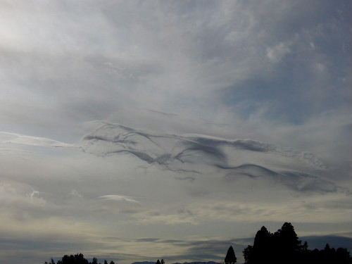 b0015260_13385343.jpg