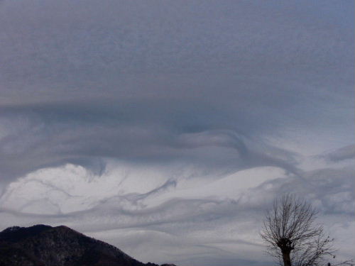 b0015260_13413645.jpg