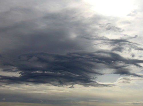 b0015260_13481999.jpg