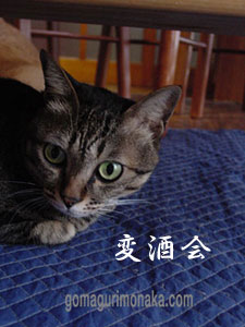a0064067_1226746.jpg