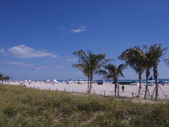 d0014975_174651.jpg