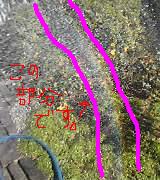 e0086589_21392061.jpg