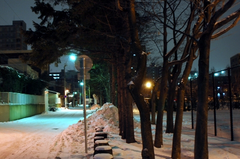 a0062697_17593727.jpg