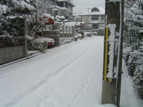 a0032600_1252478.jpg