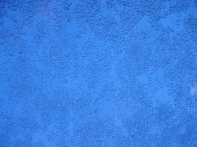 c0049902_755930.jpg