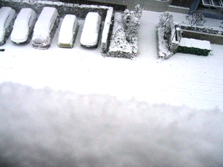 d0003606_1154616.jpg