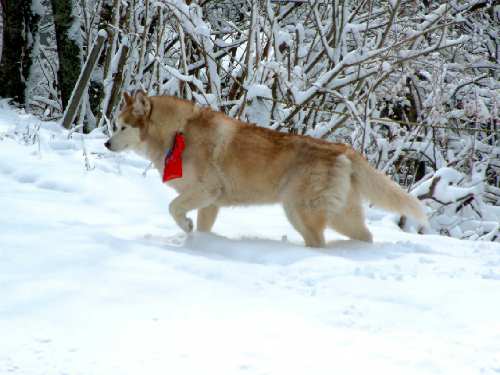 e0001110_846518.jpg