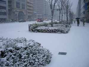 b0010914_2274551.jpg