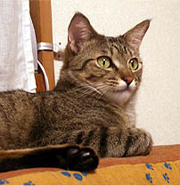 f0024419_15183277.jpg