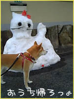 c0060620_22355716.jpg