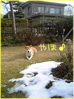 c0060620_22422856.jpg